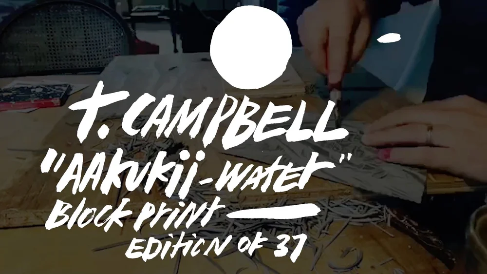 VID — Thomas Campbell Art